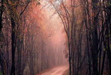 Upbit 的合作伙伴 KBank 在 IPO 前提交了稳定币钱包商标申请。