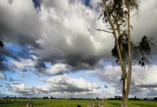 Upbit 的合作伙伴 KBank 在 IPO 前提交了稳定币钱包商标申请。