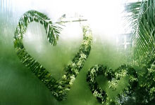 OldDriver获韩国最大数字货币交易所Upbit天使轮投资，赋能行业共建资管新生态