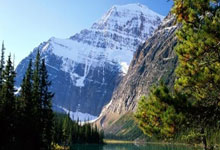 芝商所也要发币